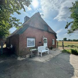 Hof Fetthörn, Reetdachkate Maya, hotel i Giekau