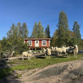 Tiny House with ocean view, hotel u gradu 'Näs'