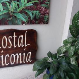 Hostal Miconia、プエルトアヨラのホテル