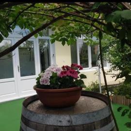 Zsigmond Vendégház, hotel u gradu 'Villány'