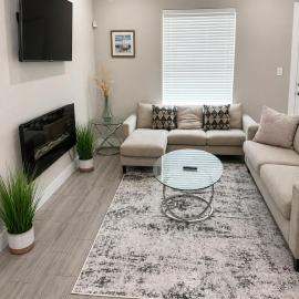 Luxury Townhome 3BR Med Center 5 Beds，休斯頓的飯店