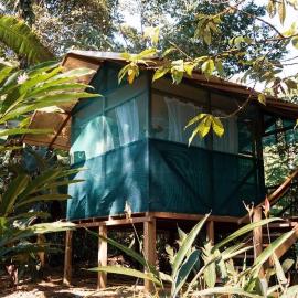 Río Agujitas Rainforest Eco Lodge