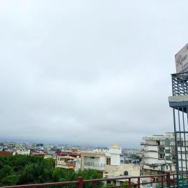 Hotel rose palace