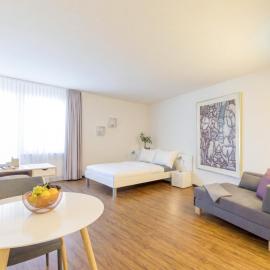 Apartmenthaus zum Trillen Basel City Center, hotel di Basel