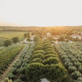 Meneghetti Wine Hotel and Winery - Relais & Chateaux: Bale şehrinde bir otel