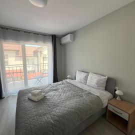 Casa Sabo Sannicoara Cluj Airport Area 2 room gray apartment