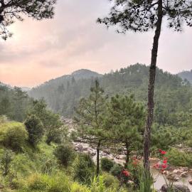 Oraya Mist Cottage II