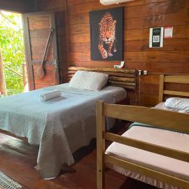 tapiri anavilhanas lodge, hotel in Castanheira