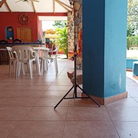 플라야 코로나도에 위치한 호텔 LOS GIRASOLES Casa Hotel