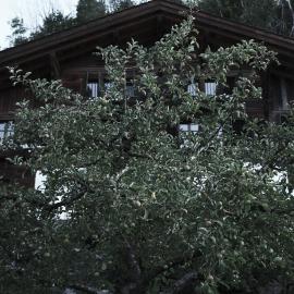 Haus Mannenberg, hotel u gradu Zweisimmen