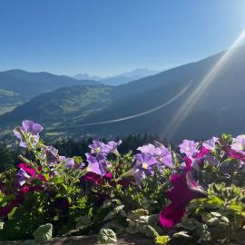 Ferienwohnungen Krapfenalm