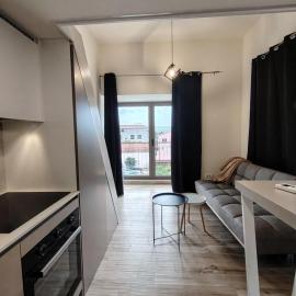 2 1D2 Mini Condos- Large Studio SW facing