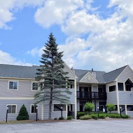 S39 Renovated Bretton Woods Condo - Designer Kitchen - AC - Gas Fireplace - Dog Friendlly、ブレトン・ウッズのホテル