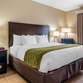 Scott में, होटल Comfort Inn & Suites Scott-West Lafayette