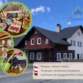 Penzion Muštelka, hotel in Rokytnice nad Jizerou