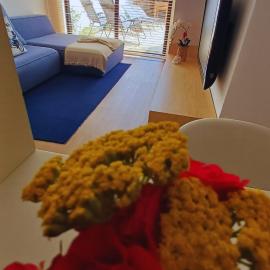 Refúgio Brisa Mar, hotel in Vila do Conde