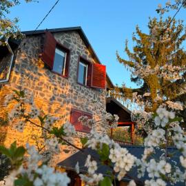 Vinea Apartman