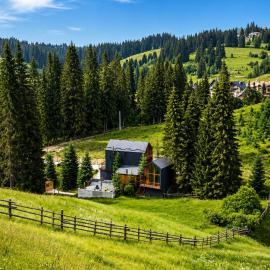 Savanna Mountain forest resort