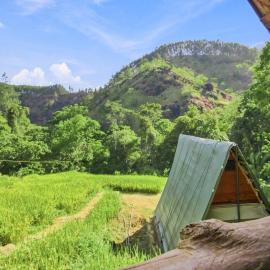 Bambara Ella Agro Resort & Camping, hotel in Haputale