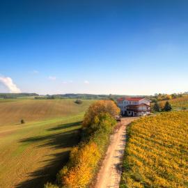 Vinum Vivo winery, hotel v destinácii Nevidzany