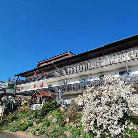 Haus am Park, hotel in Bad Soden-Salmünster