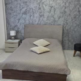 Studio Central Brancusi, hotel in Târgu Jiu