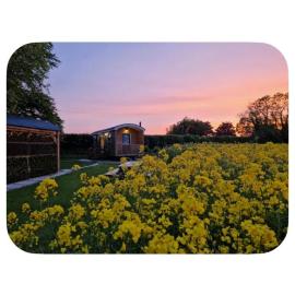 The Shepherds Hut at Foxglove Lodge