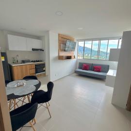 Loft centros comerciales Ibagué - millª de oro Ibagué