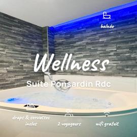 Wellness Suite Ponsardin RDC - Reims Centre, hotel u gradu 'Reims'