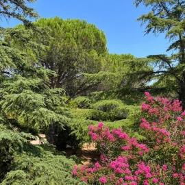 Poggio Madonna، فندق في Campagnatico