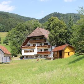 Ferienparadies Hugenhof, hotel u gradu Zimonsvald