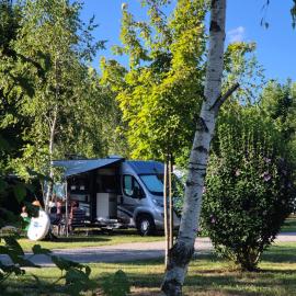 Camping Bela krajina - Pitches