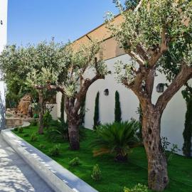 مزرعة قصر محبوب, Hotel in Adschlun