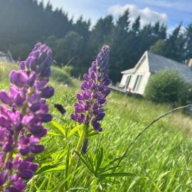 Solhem, relaxing in the countryside in nature