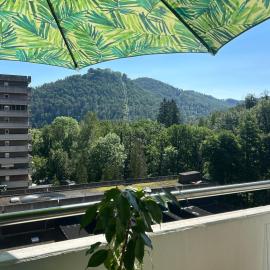 KauzenNest, hotel in Bad Harzburg