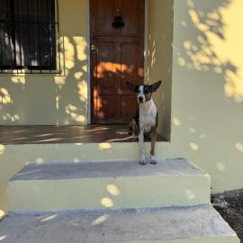 Casa Malu, hotel en Morote