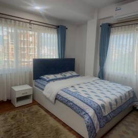 Lumi Homes