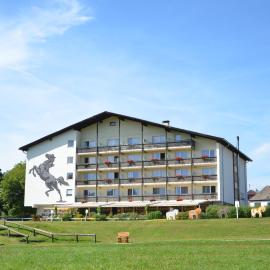 Hotel Reitzentrum Hausruckhof e U، فندق في Ampflwang im Hausruckwald