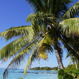 Spacious Beach Apartment، فندق في Palmar