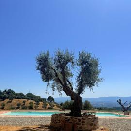 Agriturismo Miracco Atanasio Franco "Il Maniero"