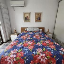 Large apartment with two bedrooms and free parking