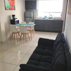 Beautiful Executive Apartment 1
