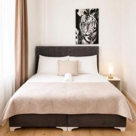 Budget Friendly Private Rooms with Garden, hotel a Viena