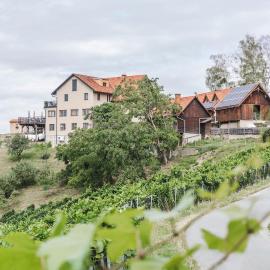 Weingut Peter Grill, hotelli kohteessa Leutschach