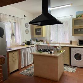 Botrus Divin Casa