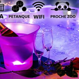îlot cosy and SPA -Gite à 15 Min DU ZOO DE BEAUVAL、Luçay-le-Mâleのホテル