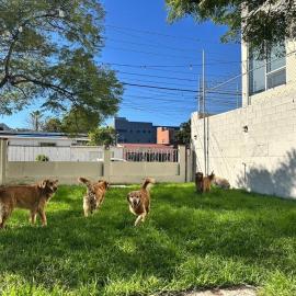 Home with lawn Pet friendly Zona Dorada Tijuana