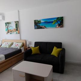 Olive Sea and City Luxury studio 2 plus 2, hotel in Burgas
