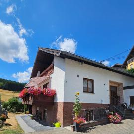 Ferienwohnung am Lindenbaum nähe Nürburgring, Hotel in Siebenbach