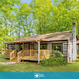 Modernized Log Cabin w Hot Tub Fire Pit & Views, hotel in Berkeley Springs